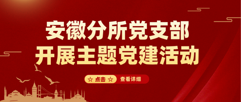 安徽分所党支部开展主题党建活动